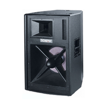 BW-6150E 15" two way speaker 