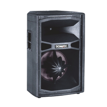 BW-8150L 15" two way speaker 