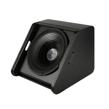 BW-12M 12" coaxial monitor speaker