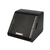 BW-15M 15" coaxial monitor speaker