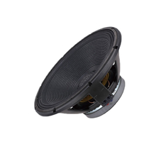 18-100-Y220-D8, 18" Ferriet Low Frequency Transducer, 100mm voice coil